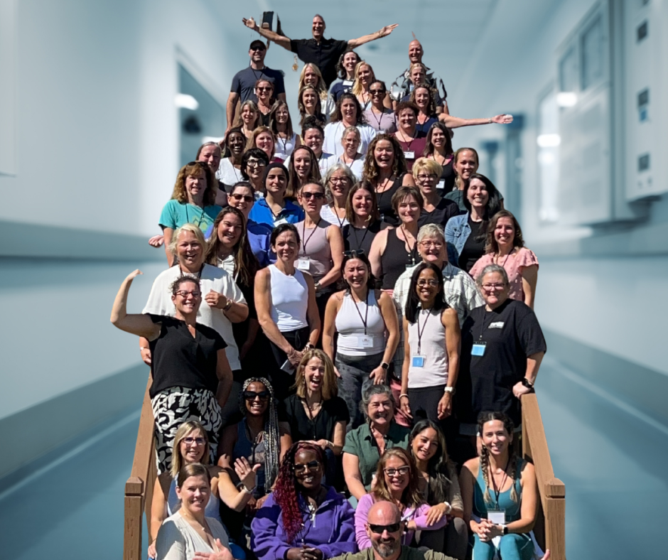 Untitled design (17) copy 2